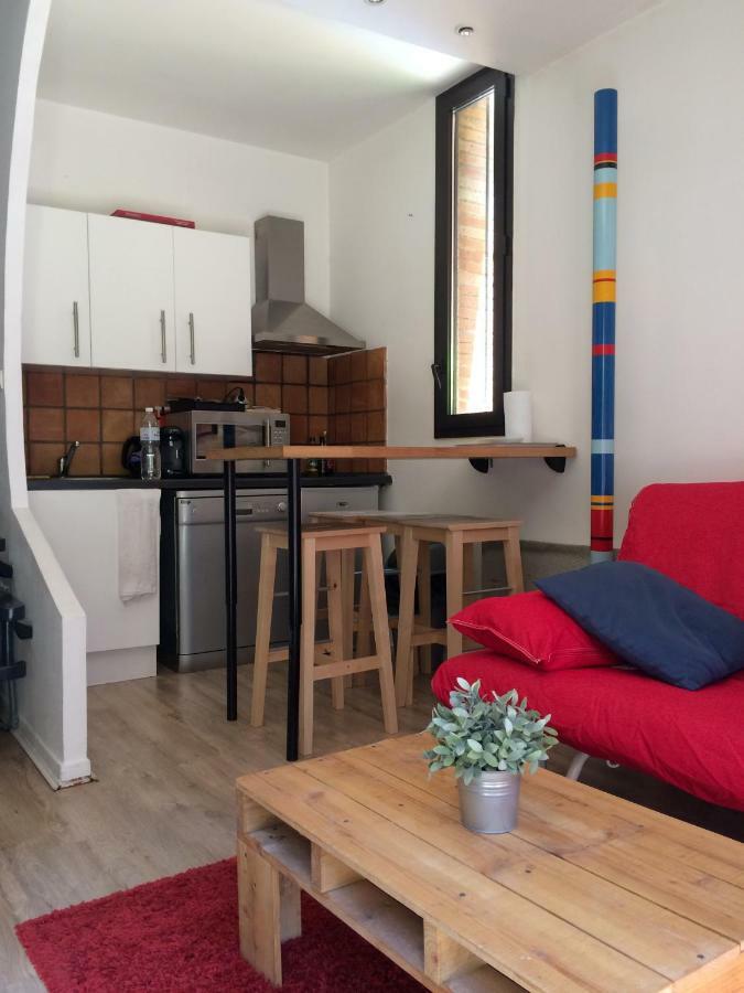Le Duplex Lejlighed Toulouse Eksteriør billede